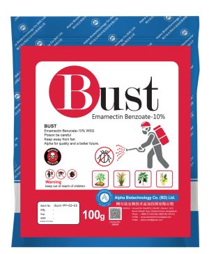BUST 摔碎-100gm